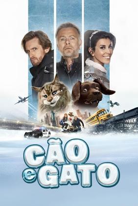 Cão e Gato